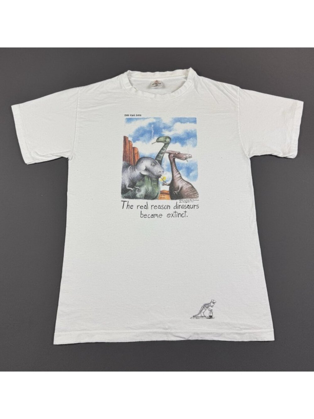 Vintage 90s Real Reason Dinosaurs Became Extinct T Shirt Funny Far Side Art Worn
